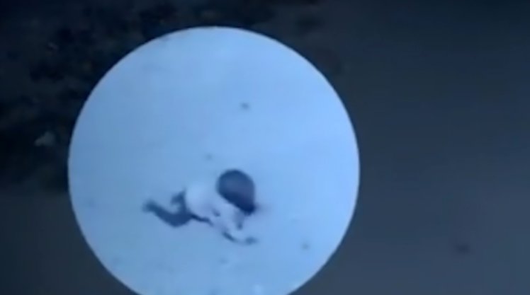 Tragedia in India: una bimba di 14 mesi è stata sbranata a morte da dei cani randagi