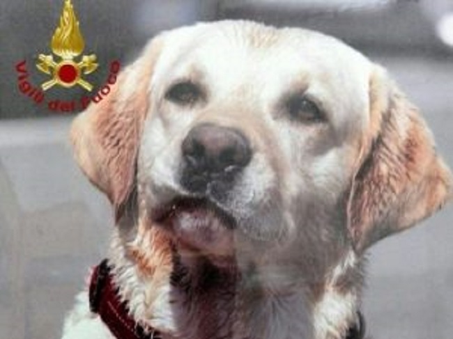 blu-morto-vigili-fuoco