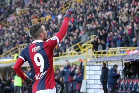 calciomercato-napoli-verdi-tifosi