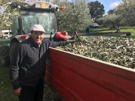 di-pietro-molise-candidato