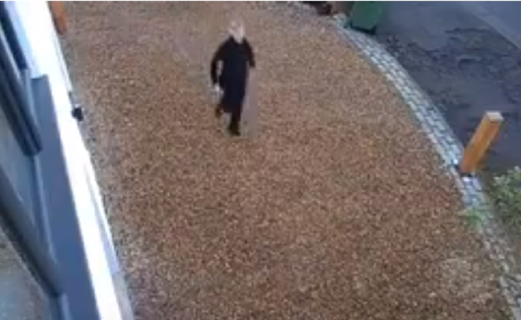 donna-sventa-rapina-londra