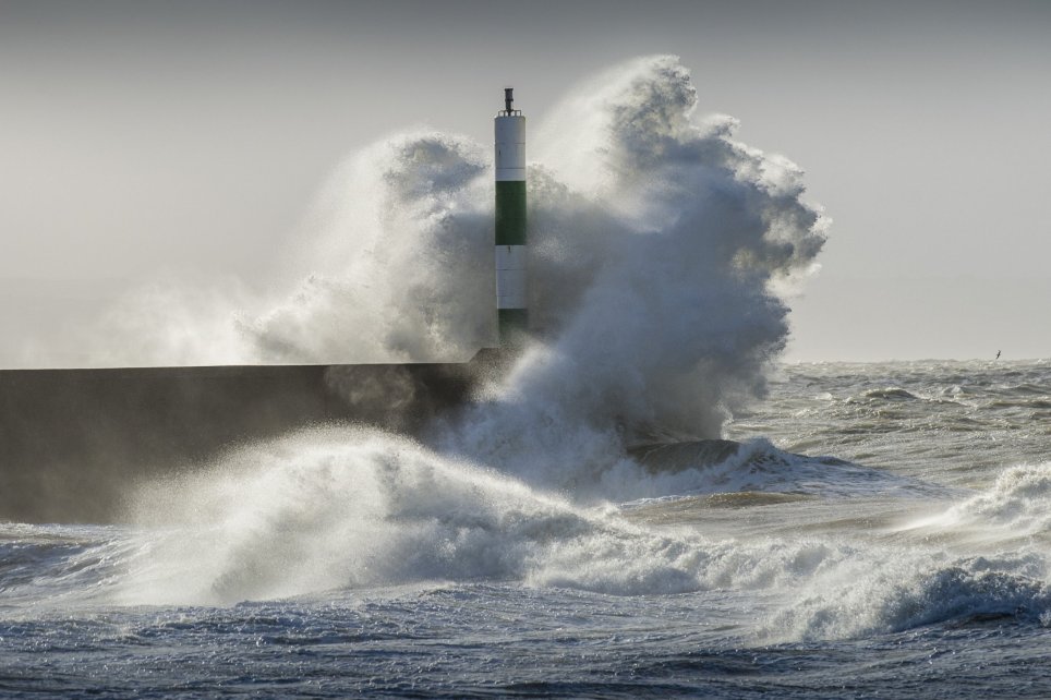 eleanor-voli-cancellati