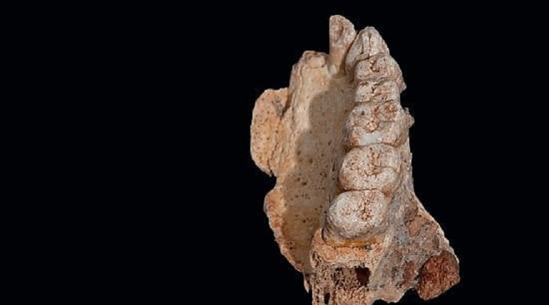 Israele, scoperto il più antico fossile umano al di fuori dell'Africa