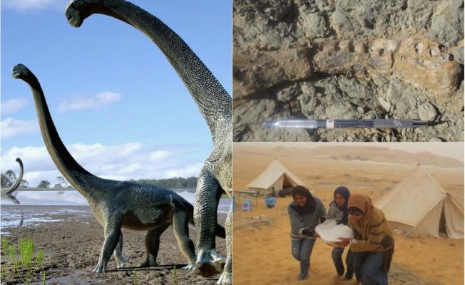 Trovati i resti di un nuovo dinosauro