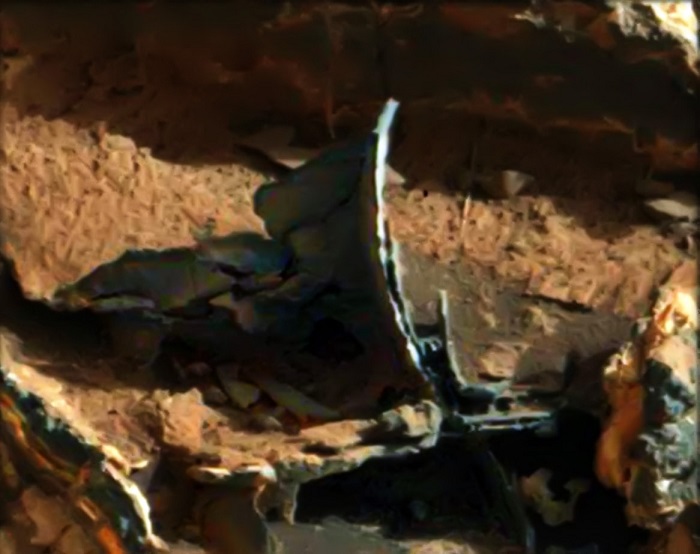 condotto-alieno-marte-foto