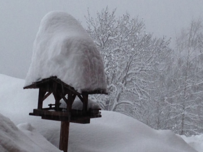 Maltempo-frana-allerta