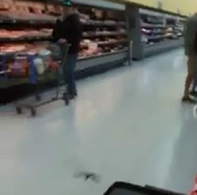 pipistrelli-supermercato-texas-