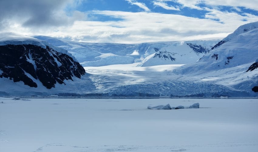 polo-sud-foresta-fossili-antartide