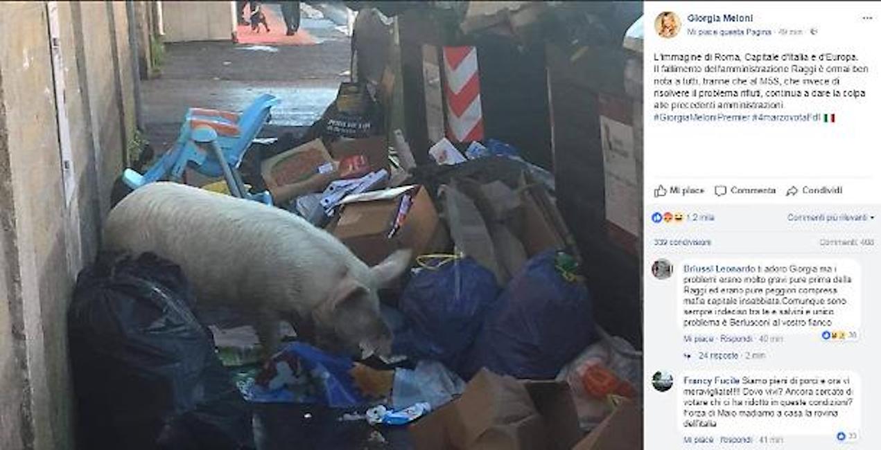 Giorgia-Meloni-maiale-rifiuti-Raggi