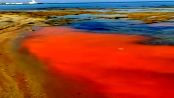 san cataldo chiazza rossa