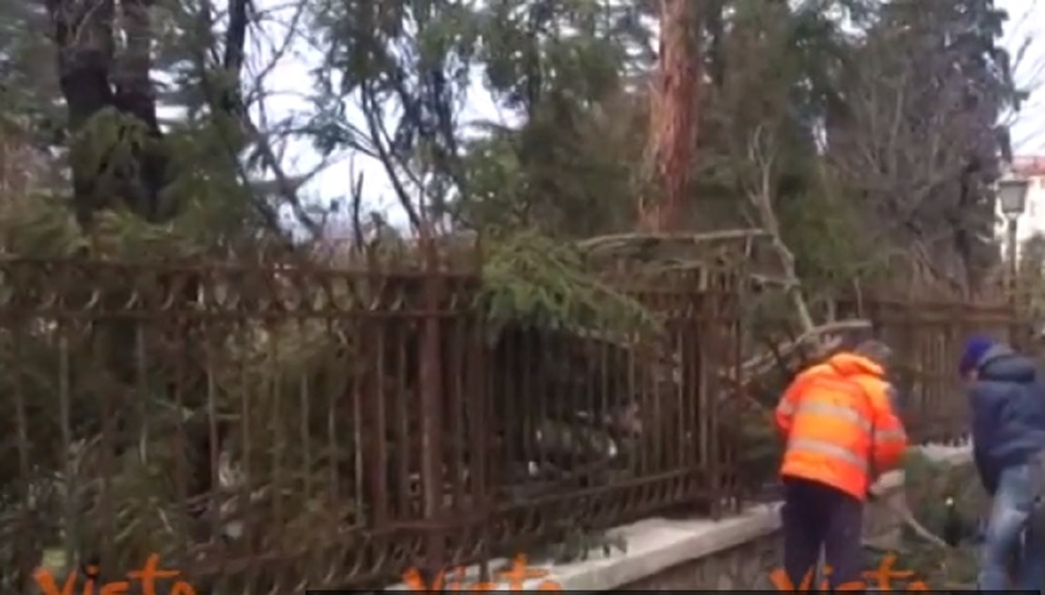 venti-forti-basilicata