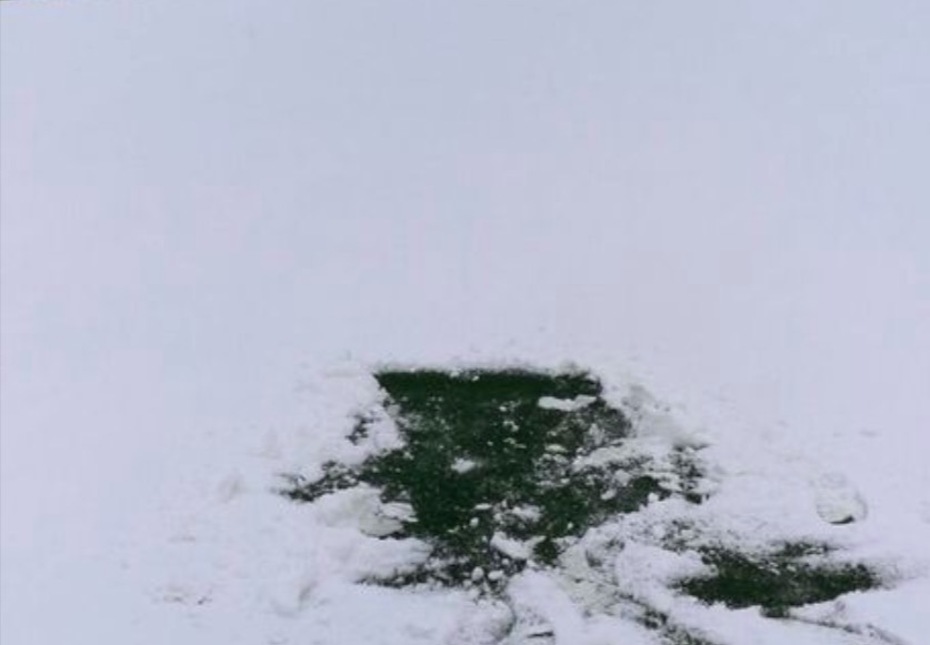 Serie B, Cesena-Pro Vercelli rinviata per neve