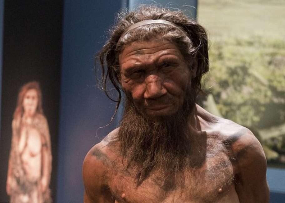 Neanderthal, niente disegni o incisioni. Ecco perché mancavano di capacità artistiche