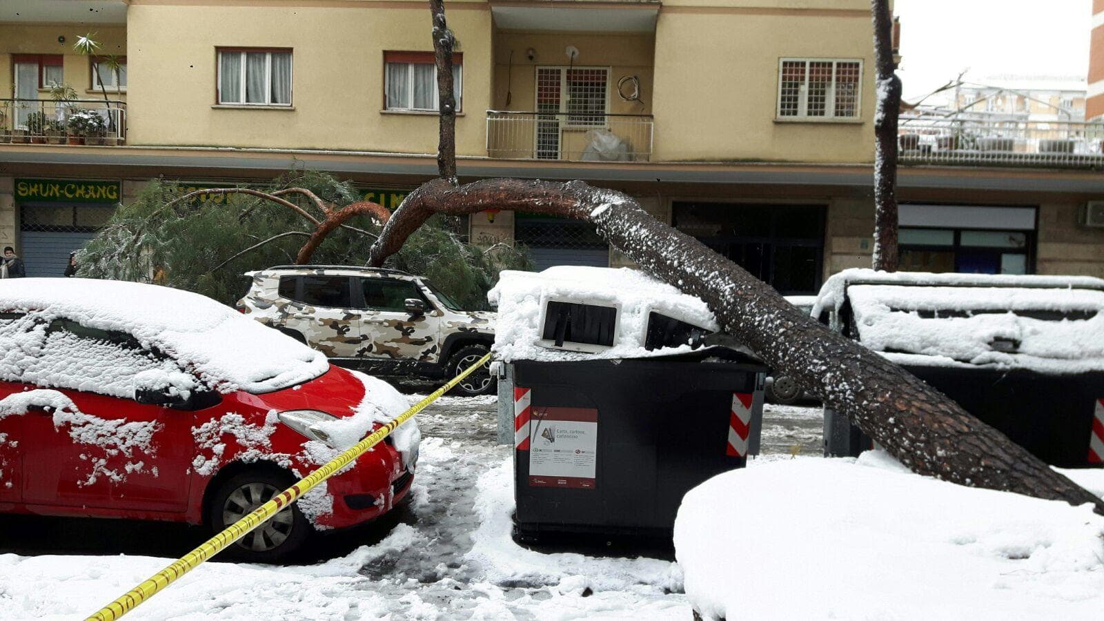 L'albero caduto in zona San Giovanni