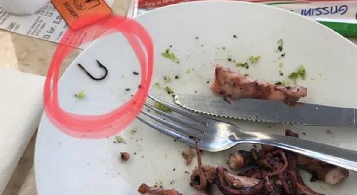 Padova, mangia nella mensa universitaria: attaccato al polpo trova l'amo