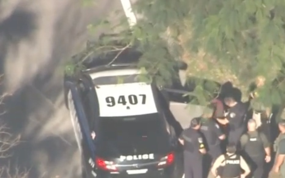 Il momento dell'arresto di NIkolas Cruz dopo la sparatoria in Florida