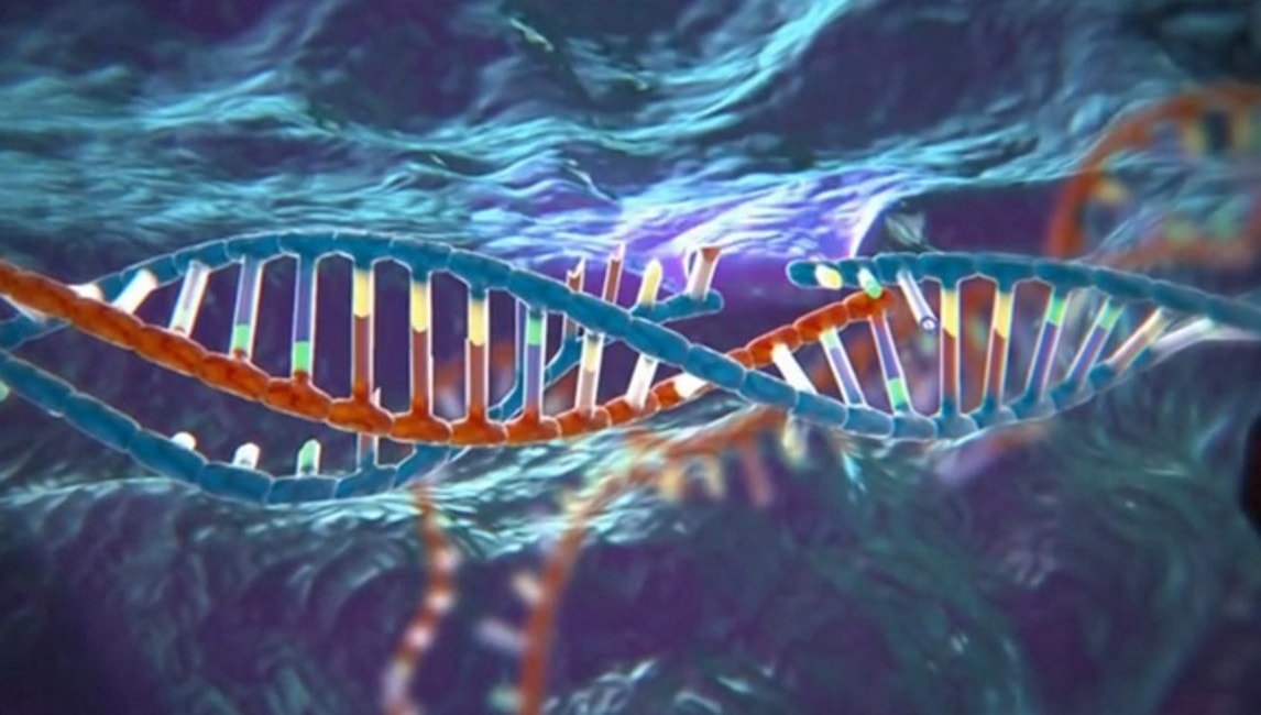 Tecnica Crispr, l'effetto "collaterale" che potrà migliorare le diagnosi