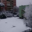Neve Roma, scuola Decima