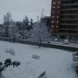 Neve a Roma, parco Decima