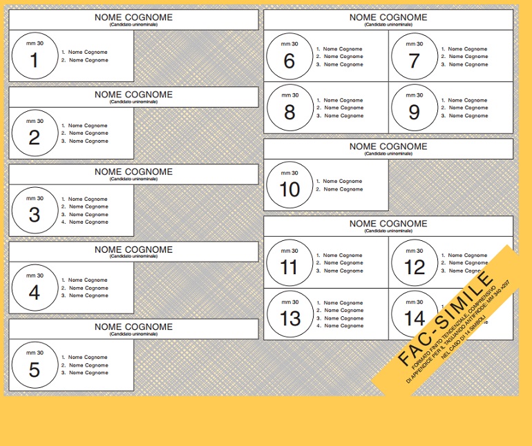Senato, il FAC SIMILE della scheda elettorale per le elezioni del 4 marzo (versione con 14 liste)