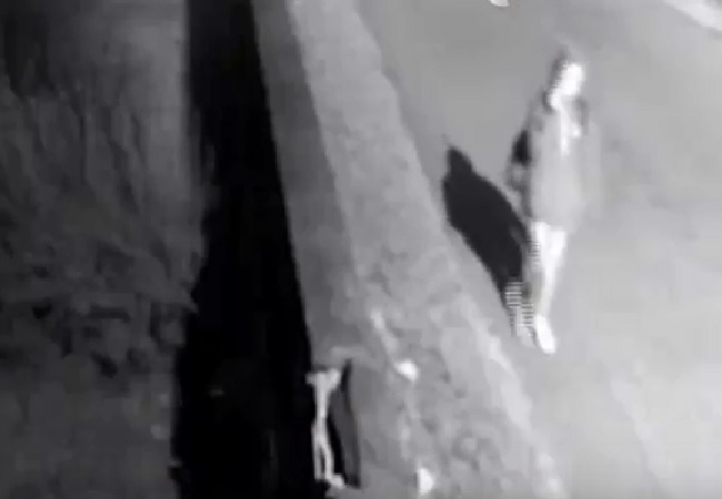 Firenze, 17enne massacrata al parco dell'Ambrogiana: fermato un 21enne, incastrato dal video