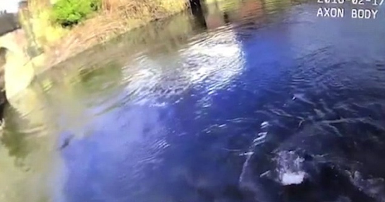 Poliziotto eroe si tuffa nelle acque ghiacciate per salvare un uomo