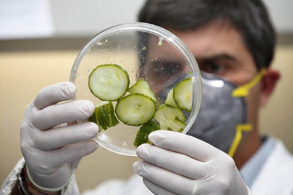 Intolleranze alimentari, i test acchiappa-soldi: un decalogo dei medici