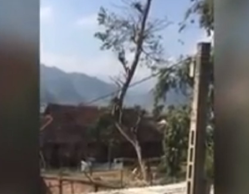 Enorme tronco tagliato con motosega: qualcosa va storto