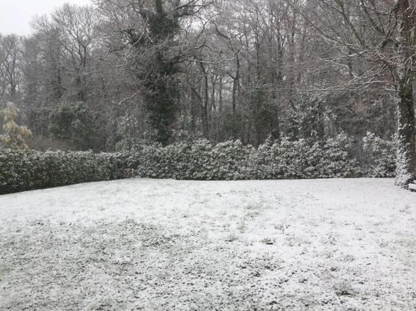 Maltempo allerta: in arrivo pioggia e neve anche a bassa quota