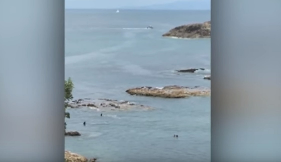Orche si avvicinano ai bambini: dalla spiaggia partono urla terrificanti