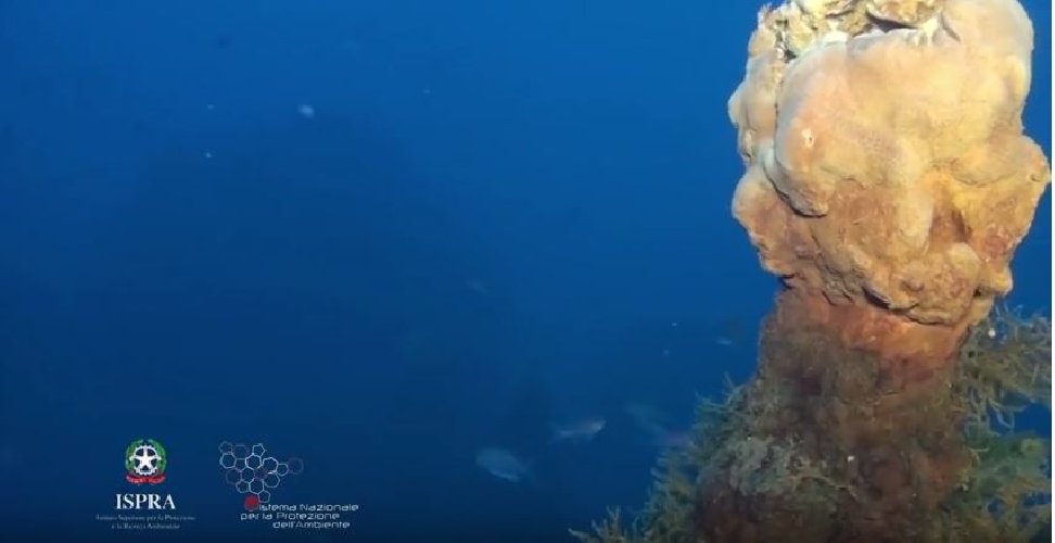 200 camini vulcanici sotto Panarea: smoking land alle Eolie