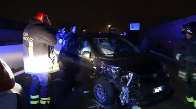 Pioltello panda incidente