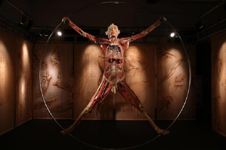 La mostra "Real Bodies" (foto Ansa)