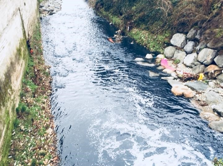 fiume seveso acqua blu coloranti