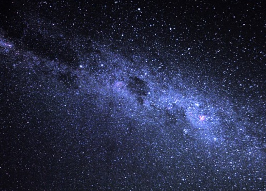 Gli animali notturni si orientano guardando le stelle