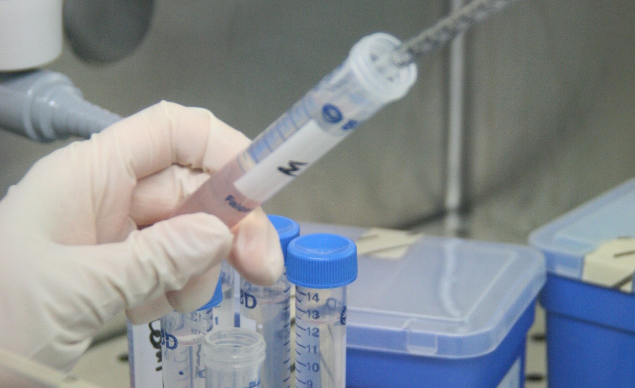 Vaccino anti-cancro con cellule staminali: funziona 7 volte su 10