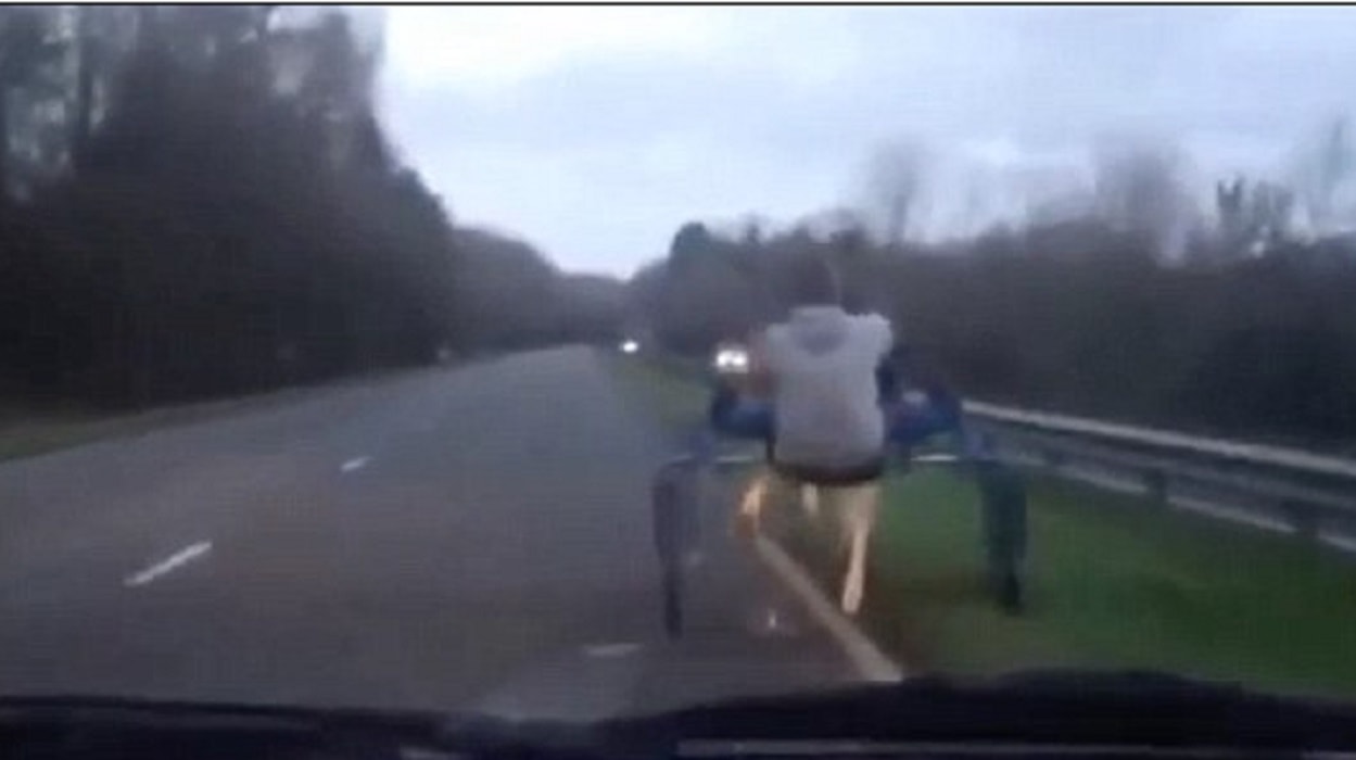 Cavallo e fantino al trotto sulla strada: finisce malissimo