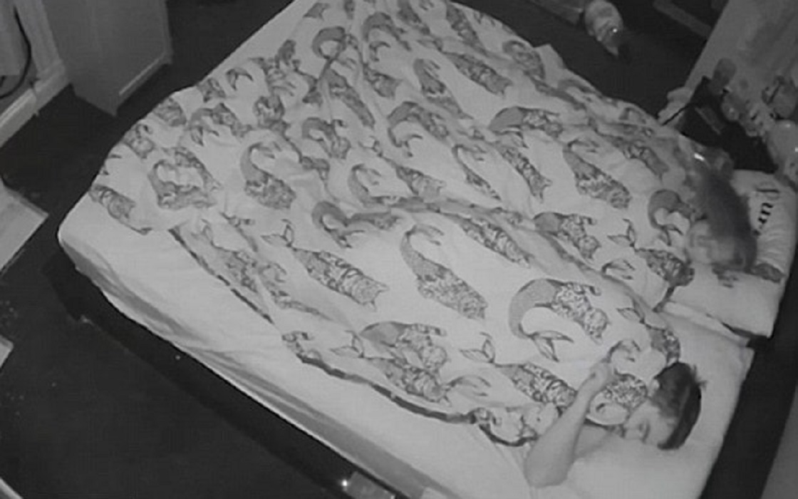 Coniglio di casa sveglia i padroni alle 6 di mattina