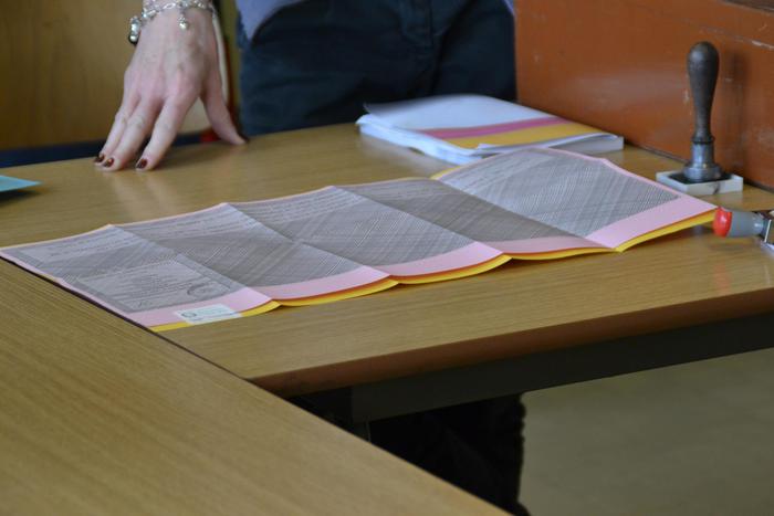 Elezioni 2018, denuncia Lega: "A Brescello scrutatrice parente di boss"