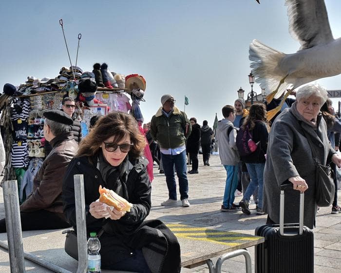 Gabbiano ruba panino turista sudamericana