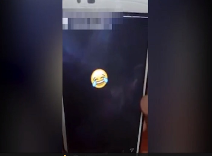 Spagna: ragazzo uccide gatto in lavatrice e posta video: 320mila firme per metterlo in galera