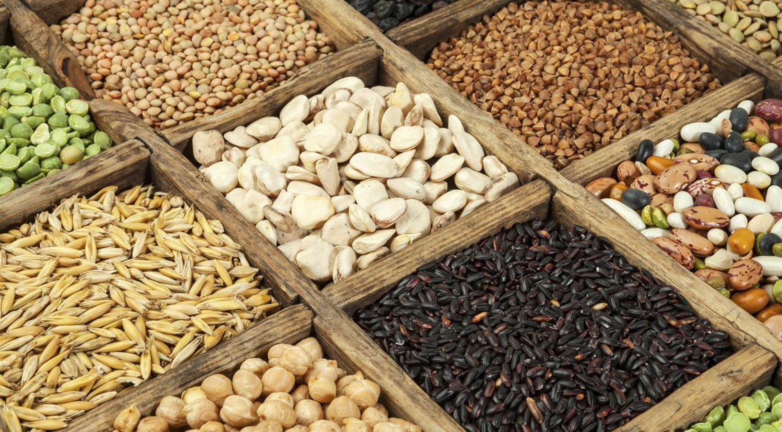 La setta del macrobiotico: adepti manipolati, affamati e costretti a lavorare gratis