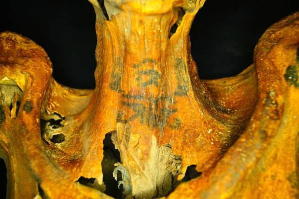 I tatuaggi più antichi sono stati scoperti su delle mummie dell'Antico Egitto