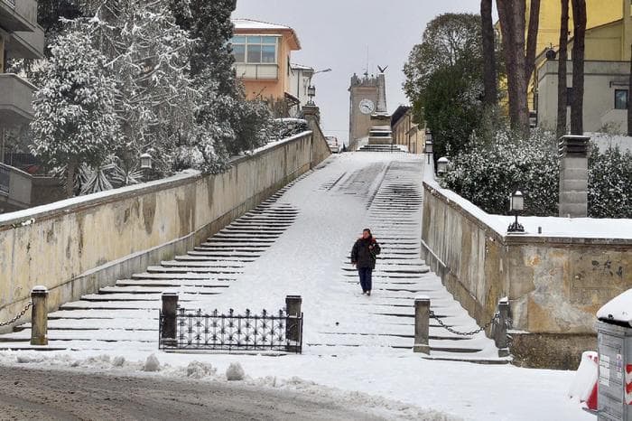 Gelocidio neve a nord