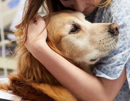 Cani, gatti e conigli possono essere usati nella pet therapy