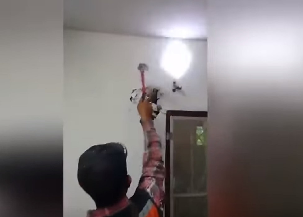 Abbatte il muro e trova pitone