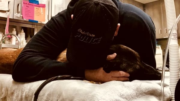 cane poliziotto morto