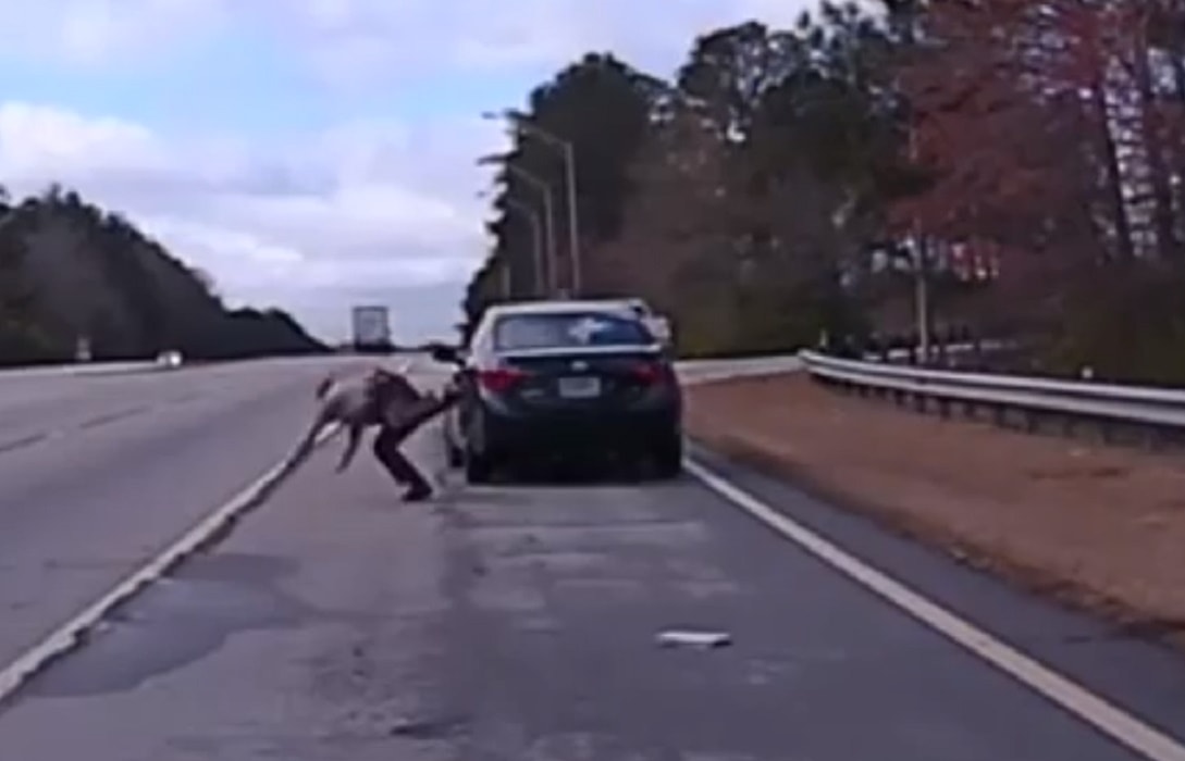 Fuga sospettato da polizia Georgia