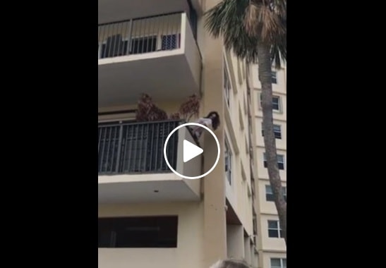 pompano beach yoga sul balcone