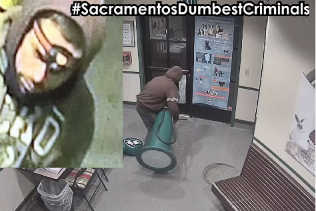 Il peggior ladro di sempre": cerca di rubare un distributore di caramelle, va tutto storto